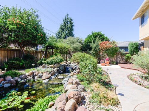 029_Koi Pond and Backyard